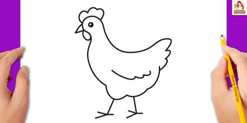How to Draw a Chicken: Unleashing Your Artistic Feathers